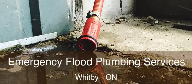  Emergency Flood Plumbing Services Whitby - ON