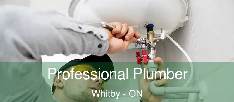  Professional Plumber Whitby - ON