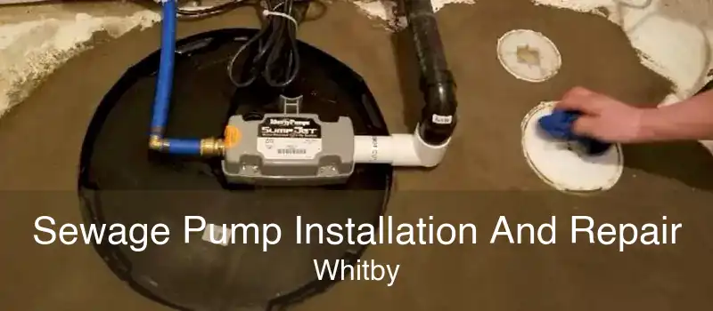 Sewage Pump Installation And Repair Whitby