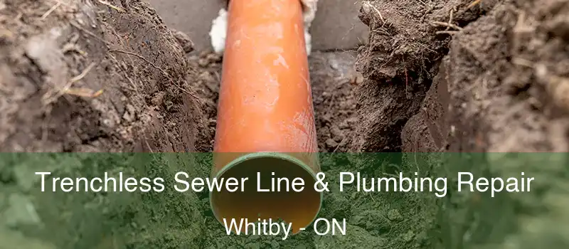  Trenchless Sewer Line & Plumbing Repair Whitby - ON